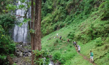 Materuni Waterfalls and Coffee Tour