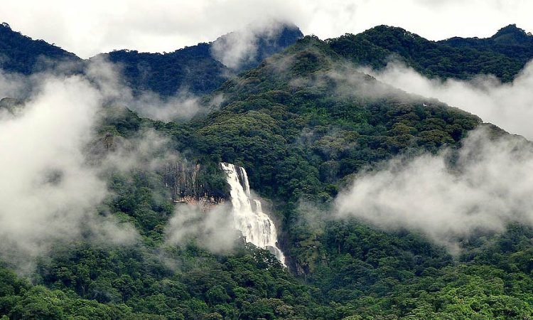 udzungwa-national-park, tanzania safari destinations